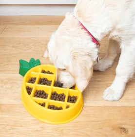 ZIPPYPAWS Happy Bowls Pinapple